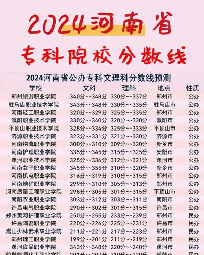 2024年高考三百分能上本科吗