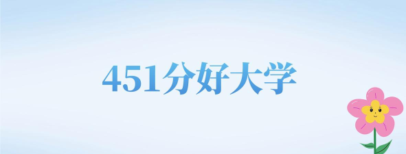 北京高考451分左右能上什么大学