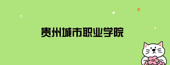 贵州城市职业学院2024年录取分数线