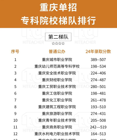 2024年重庆商务职业学院在广西录取分数线