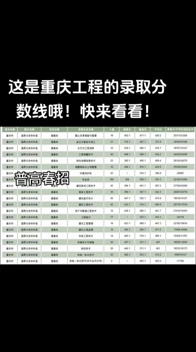 2024年重庆工程职业技术学院在云南录取分数线
