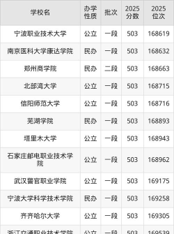 湖南高考503分左右能上什么大学