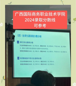 广西国际商务职业技术学院2024年在四川录取分数线、对应位次