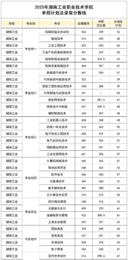 湖南工业职业技术学院2024年在重庆各专业录取分数线
