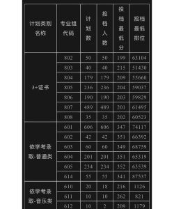 2024年广州科技贸易职业学院在湖南录取分数线