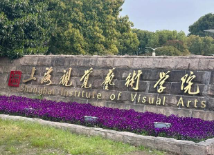 上海视觉艺术学院是几本