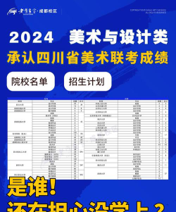 2024承认四川艺术类统考/联考成绩的学校和专业有哪些