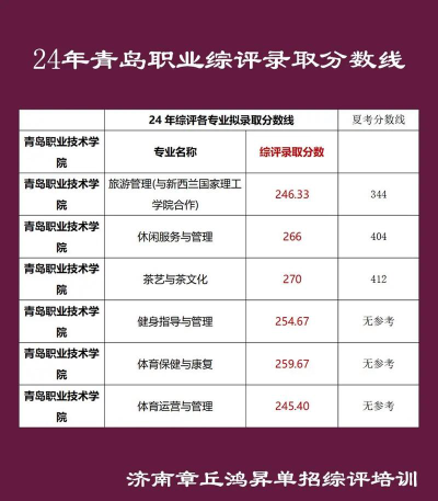 青岛职业技术学院2024年在贵州各专业录取分数线