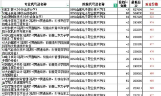 2024年山东电子职业技术学院在山东录取分数线
