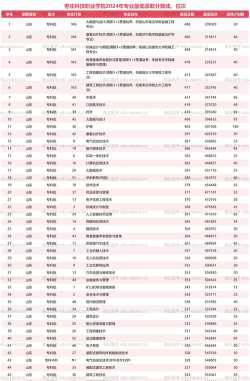 枣庄科技职业学院2024年在贵州录取分数线、对应位次