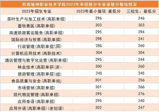 2024年西双版纳职业技术学院在四川录取分数线