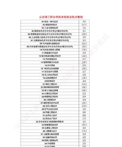 山东理工职业学院2024年在安徽录取分数线、对应位次