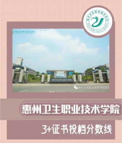 2024年惠州卫生职业技术学院在云南录取分数线