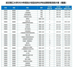 武汉理工大学国际班4+0专业有什么？