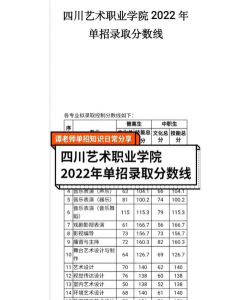 2024年宁夏艺术职业学院在四川录取分数线
