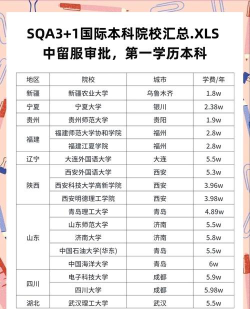 国际本科1+3怎么样