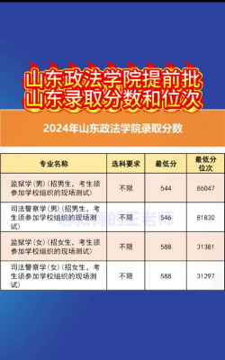 480分能考进山东政法学院吗