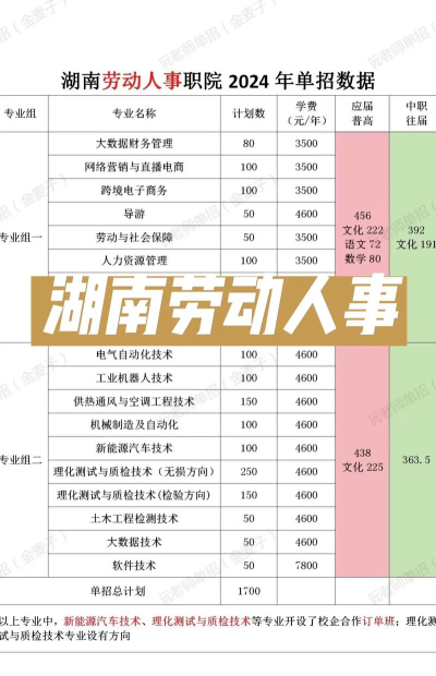 2024年湖南劳动人事职业学院在广西录取分数线