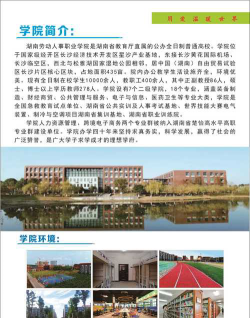 湖南劳动人事职业学院2024年在湖南录取分数线、对应位次