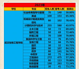 2024年武汉生物工程学院艺术类专业有哪些