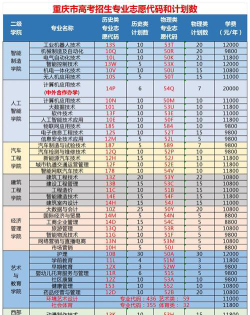 2024年重庆科创职业学院艺术类专业有哪些