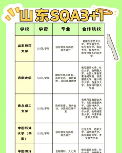济南大学SQA3+1国际本科招生专业