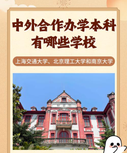 北京吉利大学中外合作办学专业