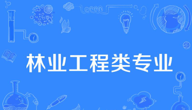 森林工程专业怎么样