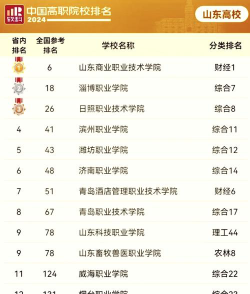 2024山东专科学校排名公办