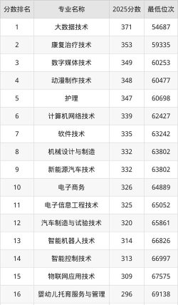 重庆信息技术职业学院2024年在贵州录取分数线、对应位次