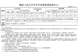2024湖南工商大学中外合作办学专业学费多少钱