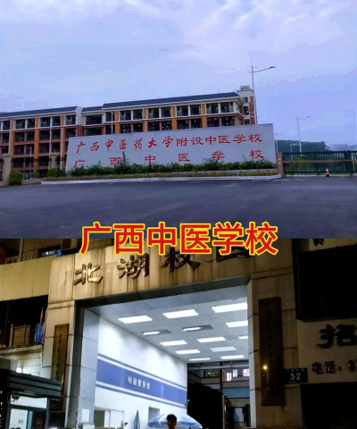 广西中医学校具体地址