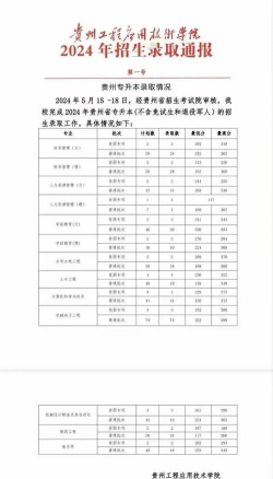 武汉生物工程学院2024年在贵州录取分数线、对应位次