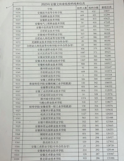 2024年武汉科技职业学院在安徽录取分数线