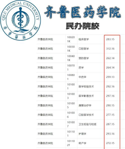 2024年齐鲁医药学院在广西录取分数线