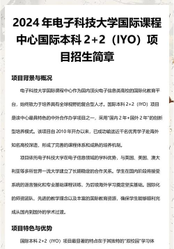 2024四川电子科大国际预科班怎么样