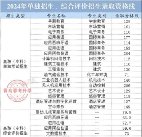 2024年山东外国语职业技术大学在福建录取分数线
