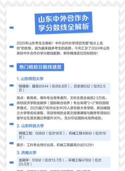 2024山东石油大学中外合作办学分数线是多少