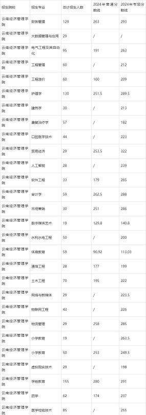 2024年云南经济管理学院在山东录取分数线