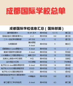 2024成都电子科大国际班怎么样