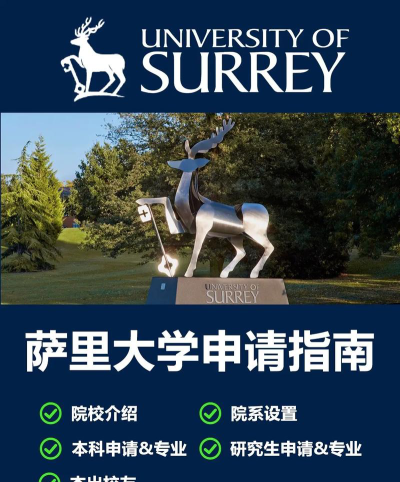 2024萨里大学国内认可度高吗