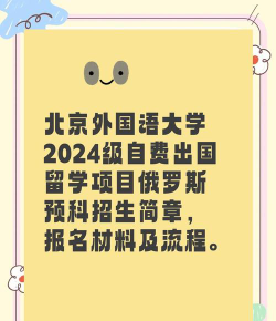 2024对外国际预科怎么样