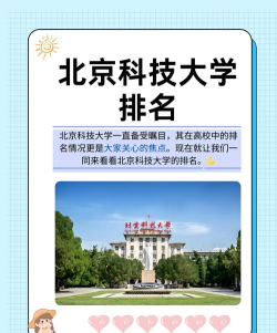 2024北京科技大学国际班好吗