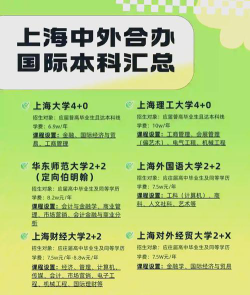 2024上外3+2项目有哪些