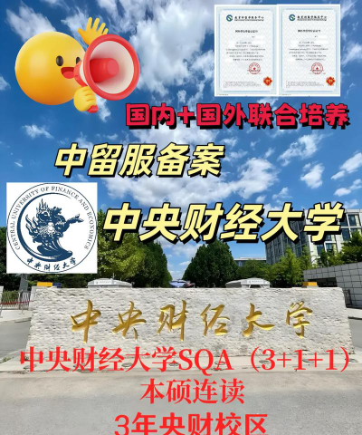 2024中央财经大学3+1+1项目是什么