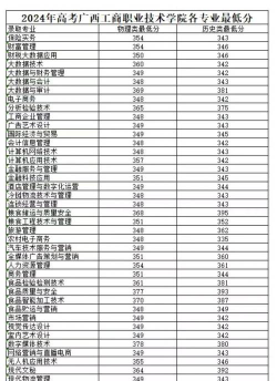 2024年贵州工商职业学院在广西录取分数线