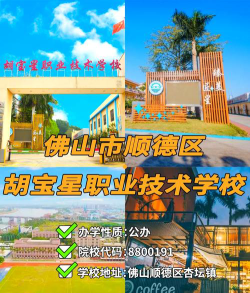 佛山顺德区胡宝星职业技术学校2024年有哪些专业