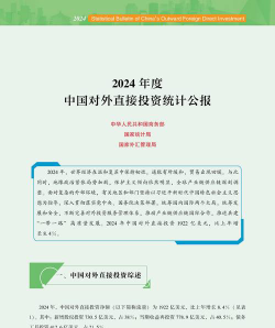 2024对外2加3项目怎么样