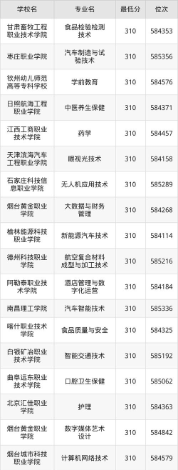 山东高考310分能上的大学有哪些？