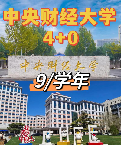 2024中央财经大学合作办学怎么样